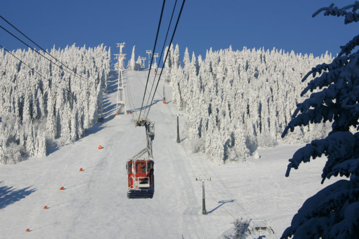 Great forest runs on the northern slope of the Klínovec ski area.