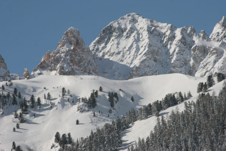 Snow-covered forest in the Valfréjus ski area.