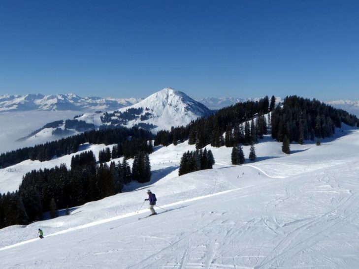 The forest makes for a special, natural experience in the SkiWelt Wilder Kaiser-Brixental.