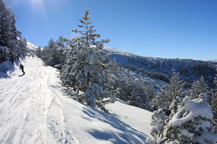 In many ski areas, downhill runs lead over wooded serpentines down to the valley, as seen here on the Hintertux Glacier.