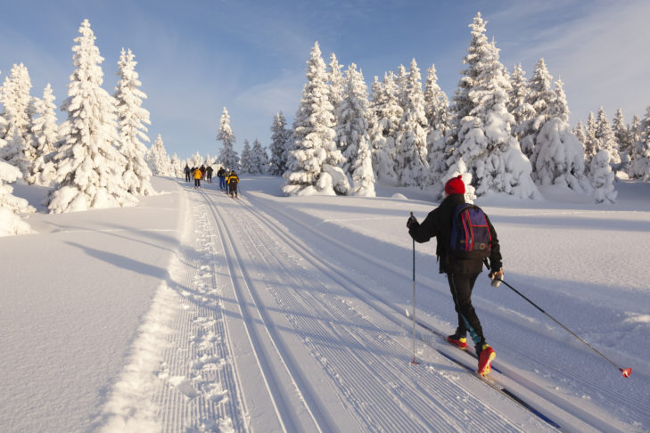 Cross-country skier in a heavily snow-covered landscape.