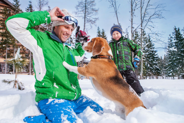 Dogs love snow – and people love dogs that love to romp in the snow.