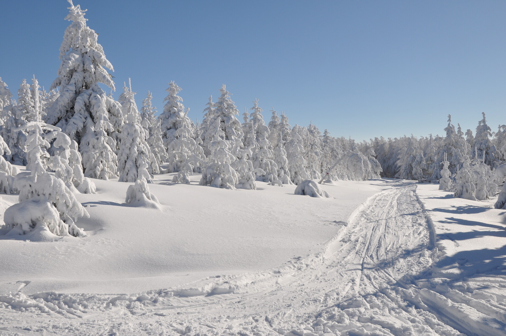 Places to visit in the Ore Mountains: 8 highlights off the beaten track