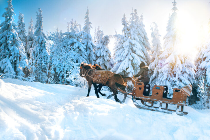 Horses pull a sledge through the picturesque, snow-covered landscape of the Ore Mountains.