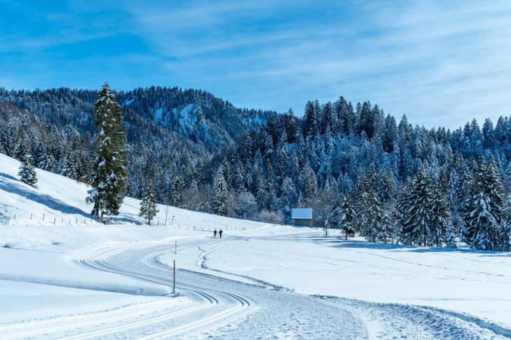 The winter hiking trails in Bregenz invite you to enjoy a hike in a magical setting.