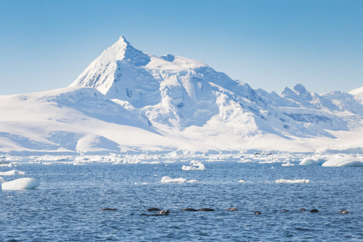 Surrounded by eternal ice, the summit of Mount Vinson, at 4,892 m, is the highest mountain in Antarctica.