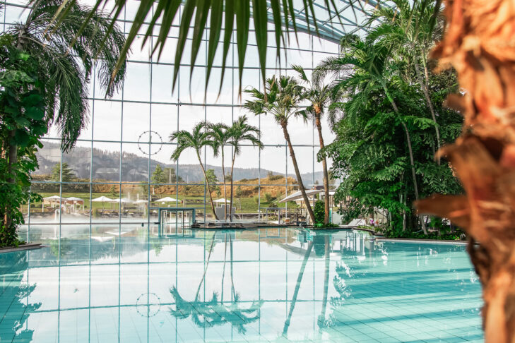 Visitors can also find tropical relaxation and unwinding, just like in this pool, at the Badeparadies Schwarzwald in Titisee-Neustadt during the winter.