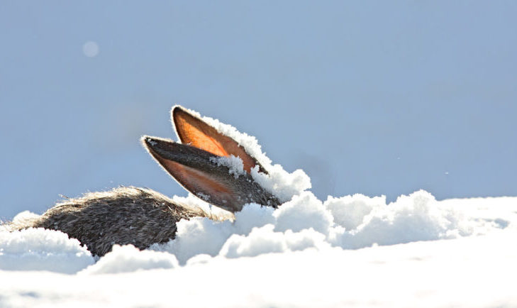 Als je de natuur wilt beschermen, moet je niet buiten de piste gaan om de wilde dieren die daar leven te beschermen.