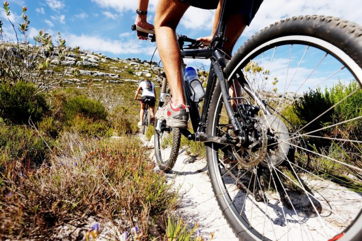 Dankzij de gevarieerde routes kan er intensief of gematigd gemountainbiked worden.