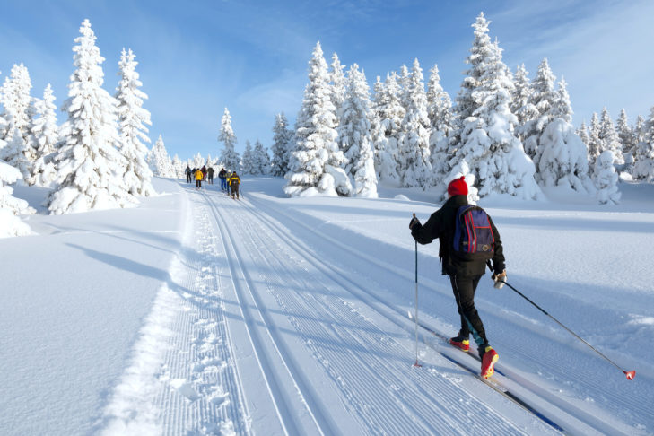 Langlaufers op een winterse ochtend.