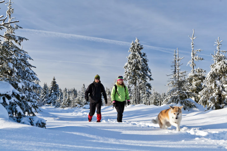 Ausgedehnte Winterspaziergänge mit Hund gehören zum Winterurlaub dazu.