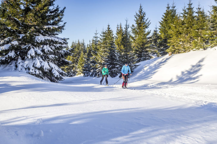Langlaufen in Österreich