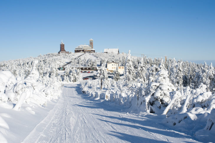 Die Wälder rund um Oberwiesenthal, direkt an der Grenze zu Tschechien, gehören auch zum Skigebiet InterSkiregion Fichtelberg/Klínovec.