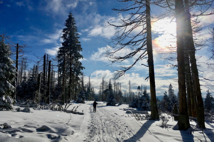 Der Harz ist im Winter besonders bei Langläufern sehr beliebt, während sich Skifahrer auch auf einige Pistenkilometer freuen können.