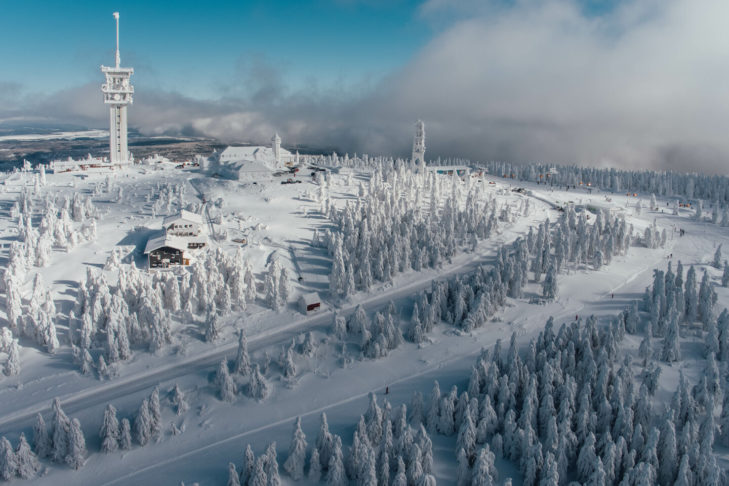 An den Nordhängen des Keilbergs befinden sich im Skigebiet InterSkiregion Fichtelberg/Klínovec gleich mehrere wunderbare Waldabfahrten.