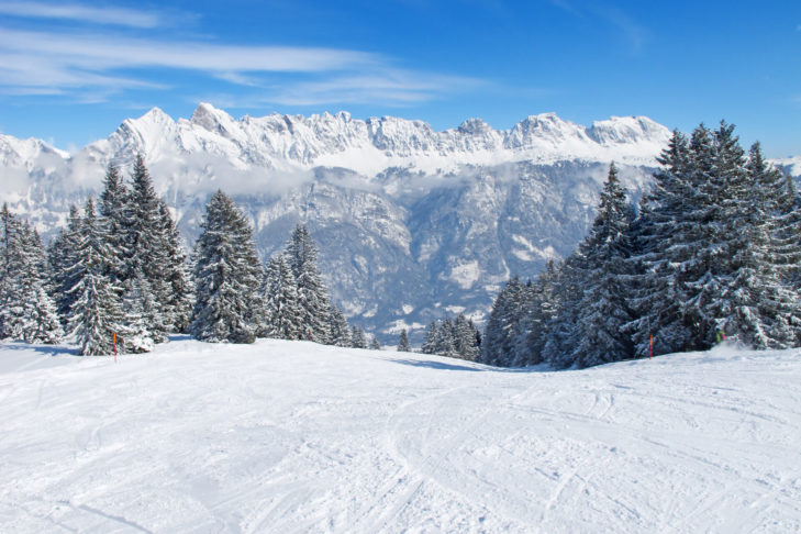Von Wald gesäumte Abfahrten haben für Wintersportler ihren ganz eigenen Reiz.