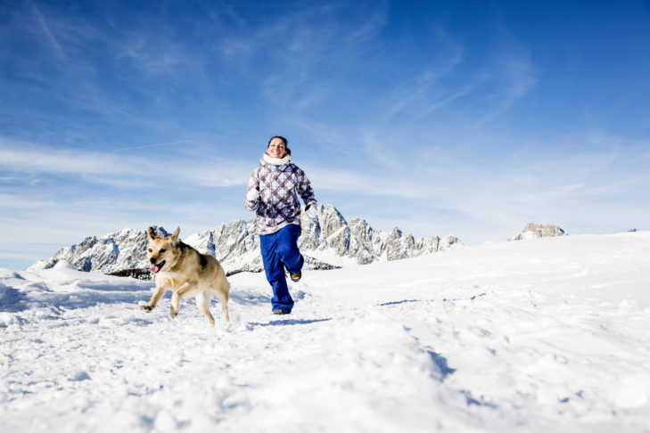 Skifahren mit Hund? Auf jeden Fall!