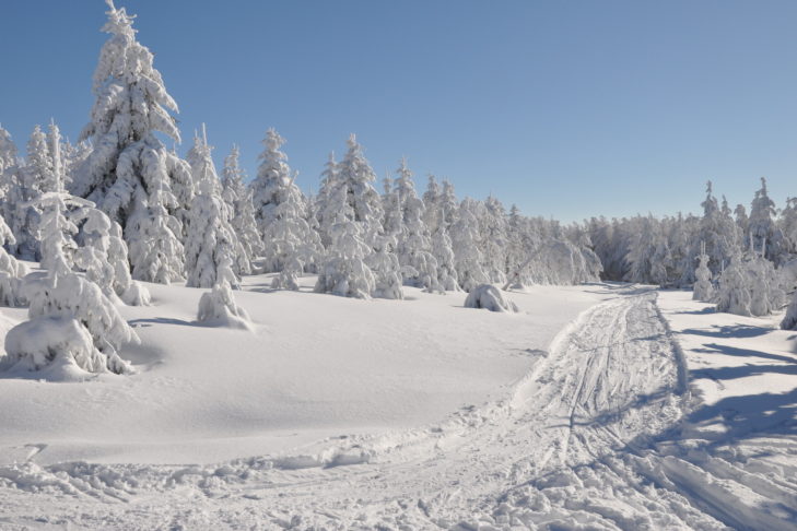 Schnee pur: Gerade im Winter gibt es im Erzgebirge viel zu erleben.