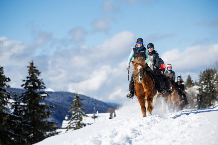 Winterwandern geht in den drei Tälern für Besucher natürlich zu Fuß oder aber auf dem Rücken von Pferden.