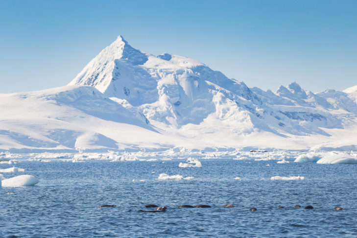Umgeben vom ewigen Eis ist der Gipfel des Mount Vinson mit 4.892 m der höchste Berg der Antarktis.