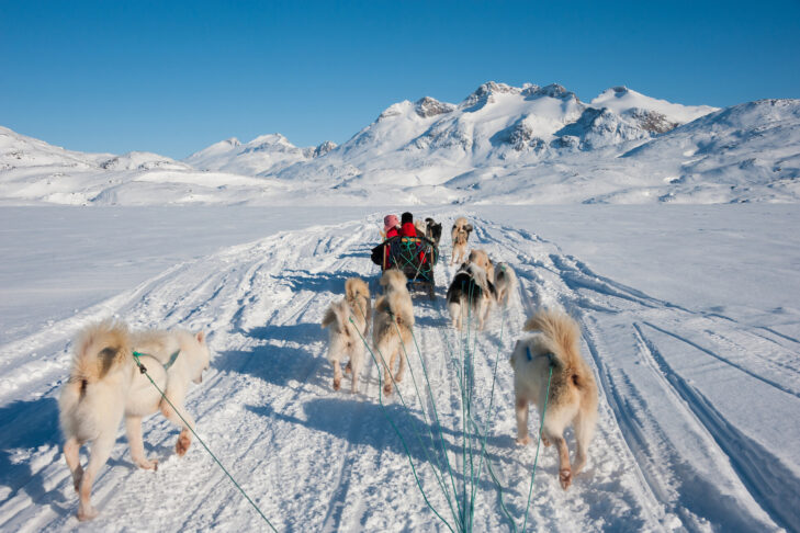 Przejażdżka psim zaprzęgiem na Greenland.