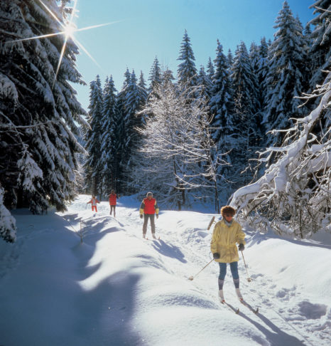 Narciarstwo biegowe jest niezwykle popularne w środkowej części Niemiec. © TVB Harz-Goslar