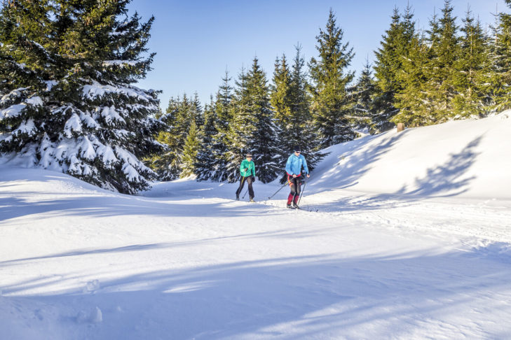 Ski de fond dans une station de ski
