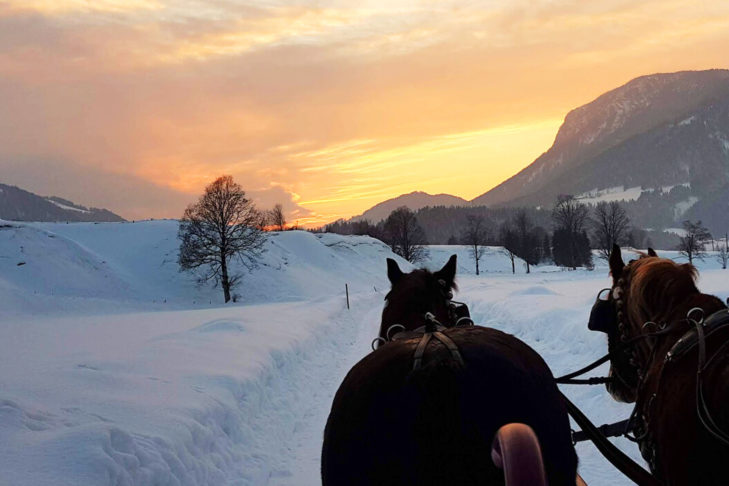 Une activité agréable et relaxante dans le SkiWelt est la promenade en traîneau tiré par des chevaux.