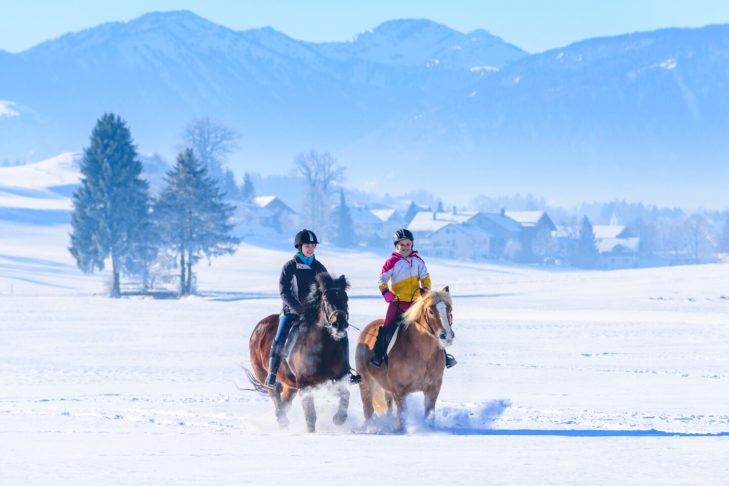 Les promenades à cheval dans la neige sont une expérience unique