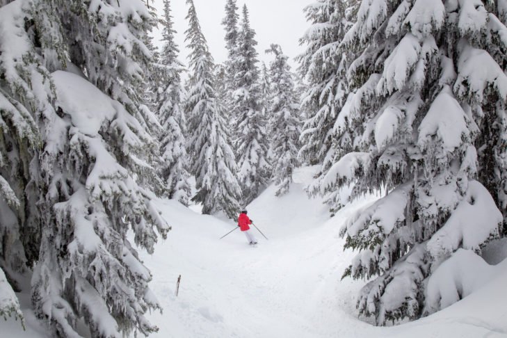 La neve fresca è il sogno di ogni amante della neve profonda. Tuttavia, aumenta anche in modo significativo il rischio di valanghe