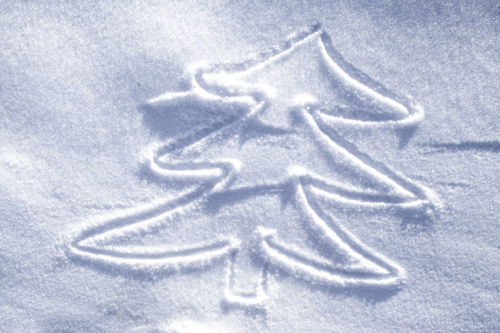 Natale sulla neve - quasi sempre garantito sulle Alpi!