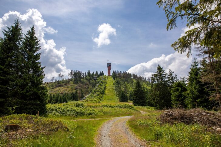 Der Harz ist im Sommer eines der schönsten Wandergebiete in Deutschlands Mittelgebirgen.