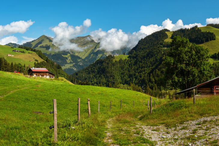 Aus dem Herzen des Naturparks Gruyère Pays-d’Enhaut kommt nicht nur eine der bekanntesten Käsesorten der Schweiz. Mit 630 Quadratkilometern ist er auch der größte seiner Art in der Eidgenossenschaft.