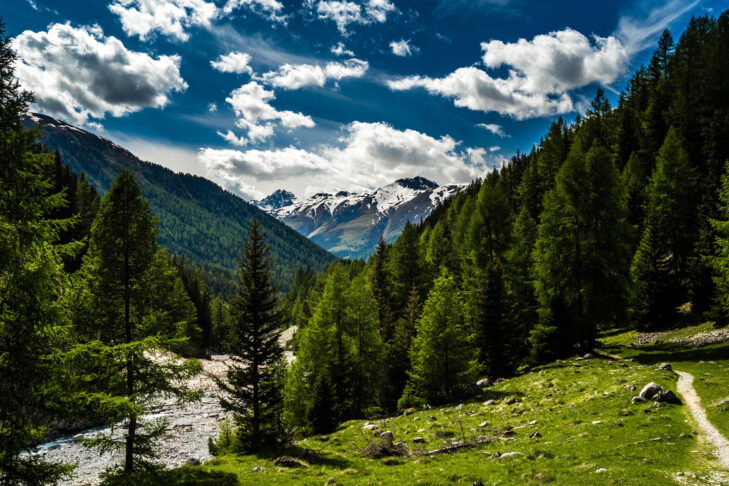 Der Schweizer Nationalpark wurde bereits im Jahr 1914 gegründet, zum Schutz einiger der schönsten Berglandschaften in der Eidgenossenschaft.