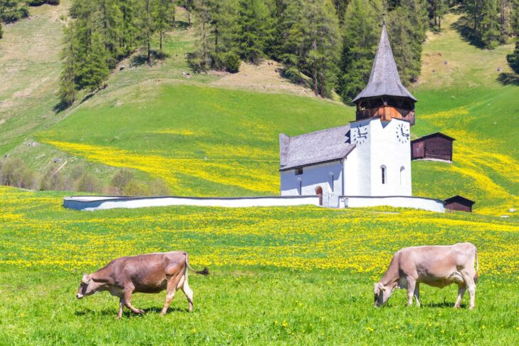 Mitten im Kanton Graubünden liegt der Parc Ela und damit der zweitgrößte Naturpark der Schweiz.