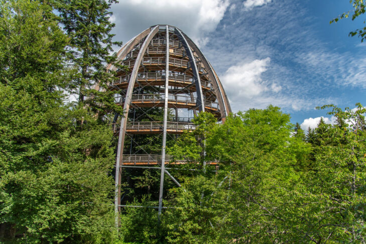 Der Baumwipfelpfad im Nationalparkzentrum Lusen gehört zu den Attraktionen im Bayerischen Wald, den gerade kleine Besucher nicht verpassen sollten.
