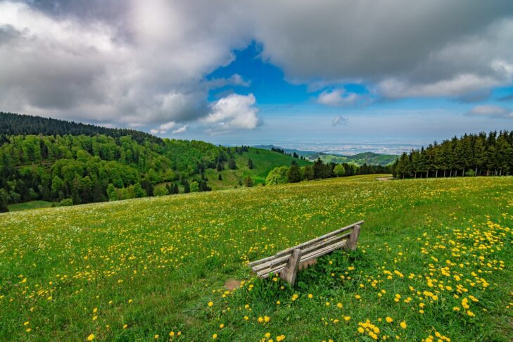 Einfach auf einer Bank Platz nehmen und die Ruhe sowie die Landschaft genießen, auch das geht im Nationalpark Schwarzwald.