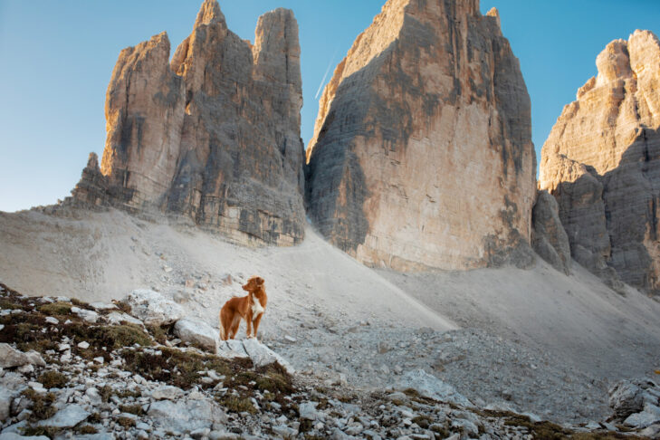 Auch die Dolomiten mit beeindruckenden Gipfeln wie den Drei Zinnen sind im Sommer ein beliebtes Wandergebiet mit Hund.