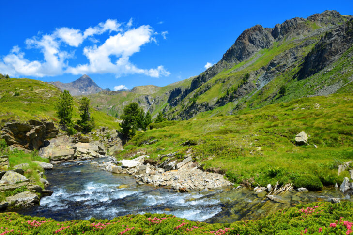 Im Jahr 1922 wurde der Parco Nazionale Gran Paradiso ausgerufen, womit er bis heute auch der älteste Nationalpark Italiens ist.