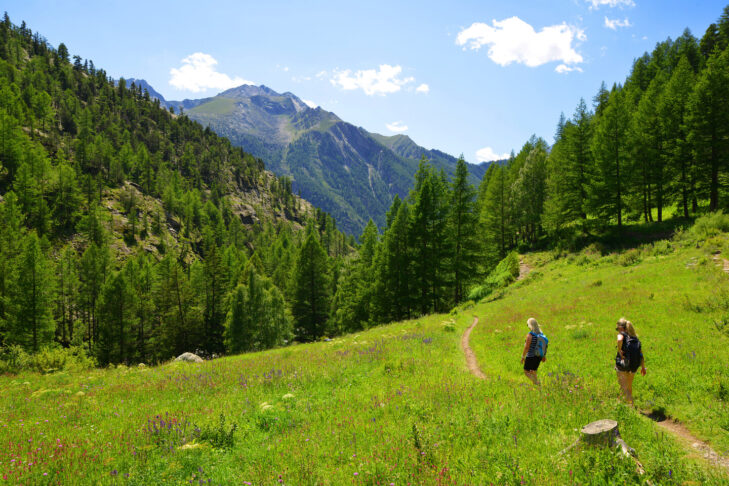 Wandern gehört im Gran Paradiso, dem ältesten Nationalpark Italiens, zu einer der beliebtesten Outdoor-Aktivitäten im Sommer.