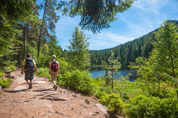Wandern ist für alle Aktivurlauber, die sich im Frühling, Sommer oder Herbst einmal an Outdoor-Sport heranwagen wollen, der perfekte Einstieg. Gerade einfache Routen, wie hier im Schwarzwald, bieten sich dabei gerade für Anfänger an.