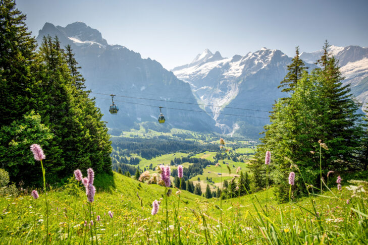 Mit den Bergbahnen können Aktivurlauber von Grindelwald aus fast jeden Wanderweg in der Jungfrau Region erreichen.