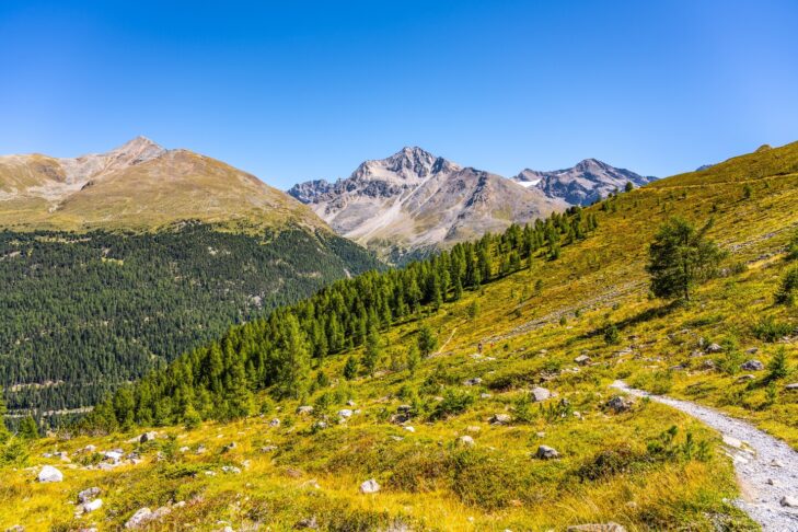 In den Ortler Alpen starten die Wanderwege tief im Tal in dichten, grünen Wäldern und winden sich bis hinauf in die kargen Gipfelregionen mit Gletschereis.