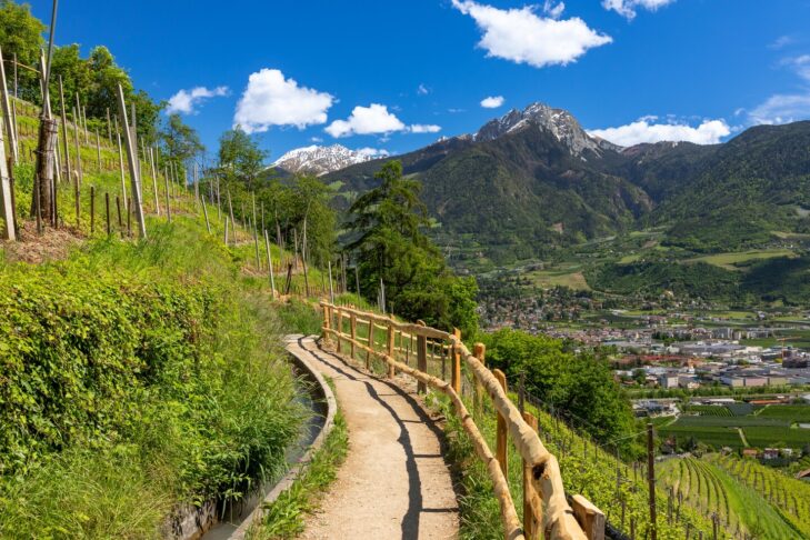 Mit 12 km ist der Marlinger Waalweg einer der längsten seiner Art in Südtirol und punktet bei Besuchern gerade wegen der Möglichkeit, von hier aus einen unverbauten Blick auf das Meraner Becken genießen zu können.